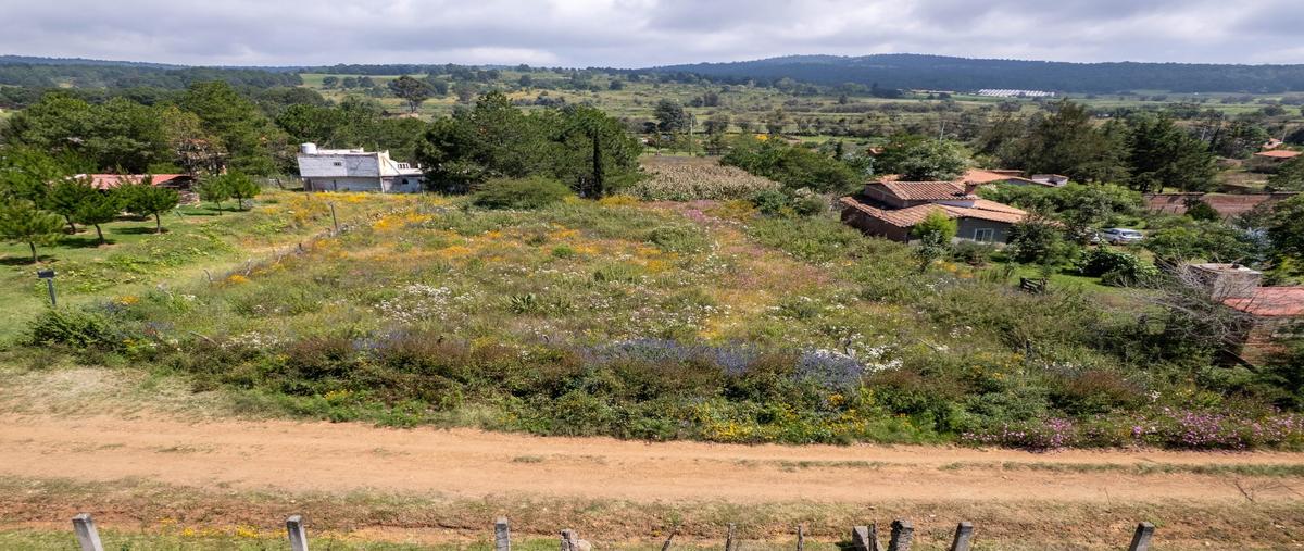 Foto de terreno habitacional en venta en  , tapalpa, tapalpa, jalisco, 30415464 No. 04