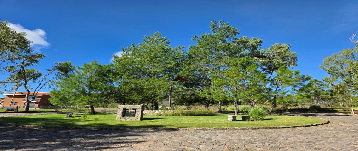 Foto de terreno habitacional en venta en  , tapalpa, tapalpa, jalisco, 30481283 No. 05