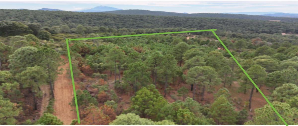 Foto de terreno habitacional en venta en  , tapalpa, tapalpa, jalisco, 0 No. 03