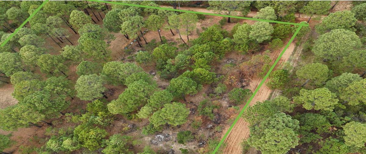 Foto de terreno habitacional en venta en  , tapalpa, tapalpa, jalisco, 0 No. 04