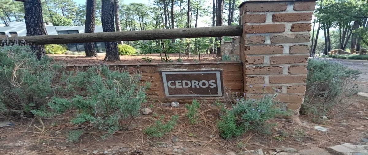 Foto de terreno habitacional en venta en  , tapalpa, tapalpa, jalisco, 30592225 No. 03