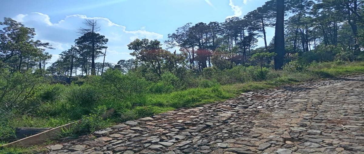 Foto de terreno habitacional en venta en  , tapalpa, tapalpa, jalisco, 30592225 No. 04