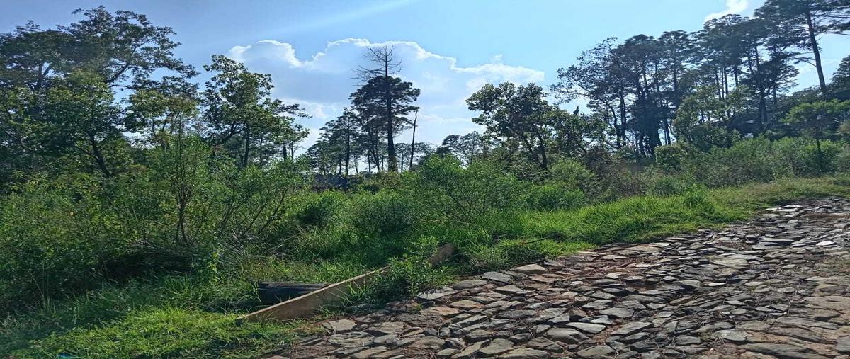 Foto de terreno habitacional en venta en  , tapalpa, tapalpa, jalisco, 30592225 No. 05