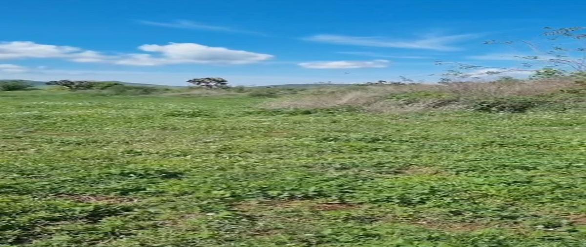 Foto de terreno habitacional en venta en  , tapalpa, tapalpa, jalisco, 0 No. 03