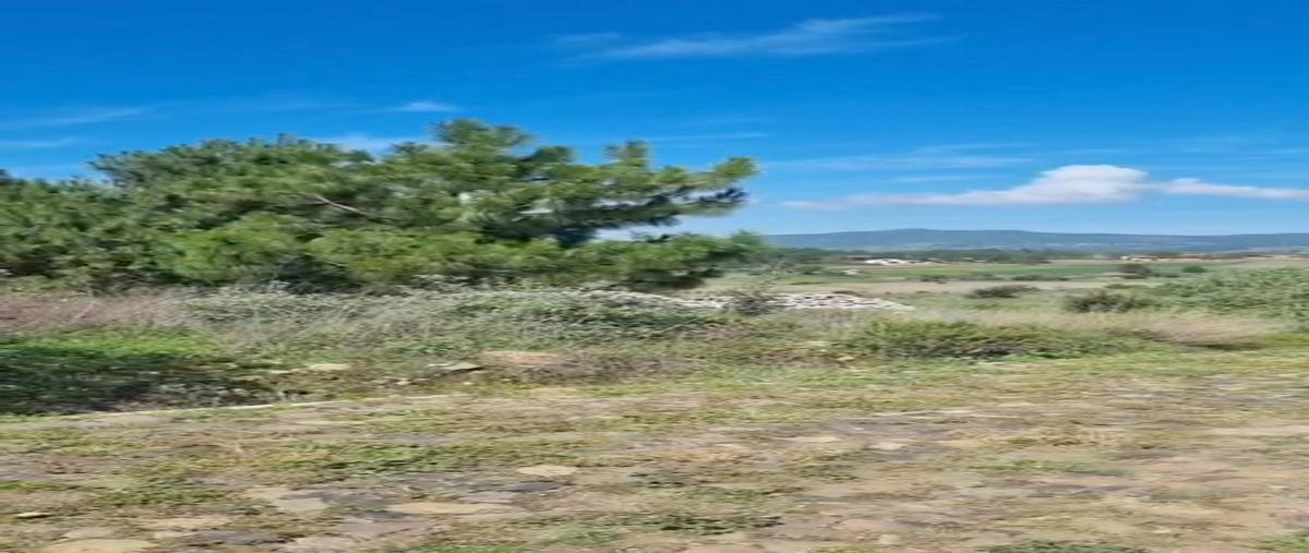 Foto de terreno habitacional en venta en  , tapalpa, tapalpa, jalisco, 0 No. 05