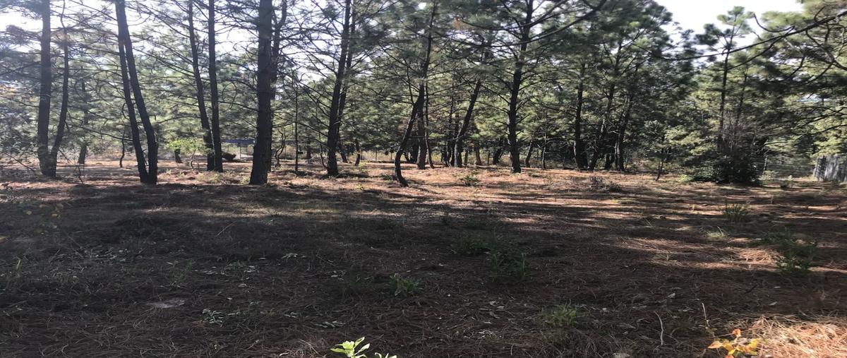 Foto de terreno habitacional en venta en  , tapalpa, tapalpa, jalisco, 0 No. 03