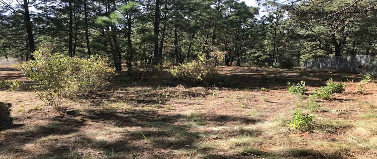 Foto de terreno habitacional en venta en  , tapalpa, tapalpa, jalisco, 0 No. 04
