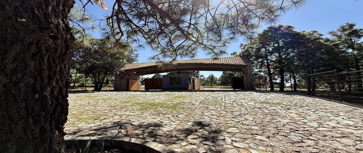 Foto de terreno habitacional en , tapalpa, tapalpa, jalisco, 0 foto 04 Foto de terreno habitacional en venta en , tapalpa, tapalpa, jalisco, 0 No. 04