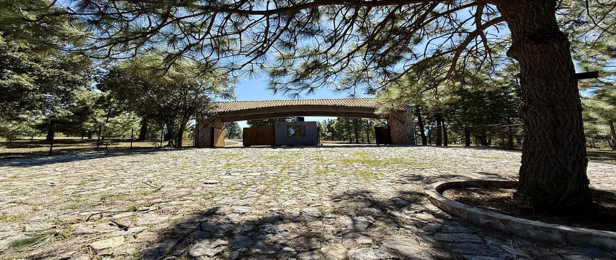 Foto de terreno habitacional en , tapalpa, tapalpa, jalisco, 0 foto 05 Foto de terreno habitacional en venta en , tapalpa, tapalpa, jalisco, 0 No. 05