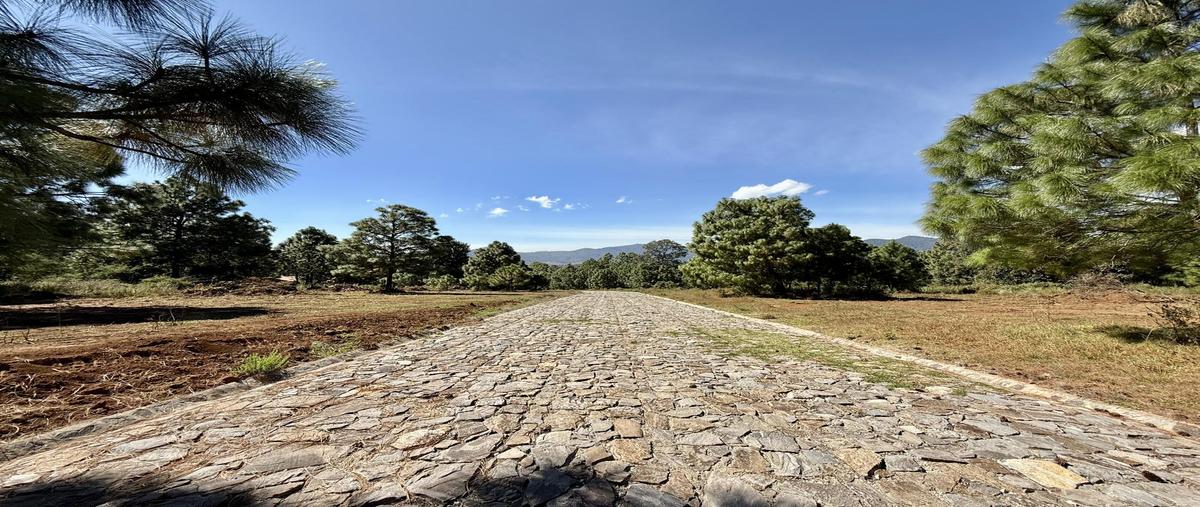 Foto de terreno habitacional en venta en  , tapalpa, tapalpa, jalisco, 0 No. 05