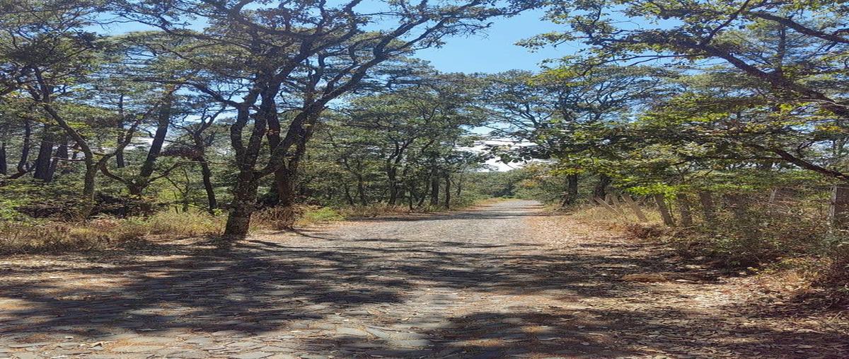Foto de terreno habitacional en venta en  , tapalpa, tapalpa, jalisco, 0 No. 03