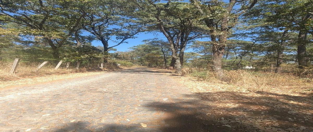 Foto de terreno habitacional en venta en  , tapalpa, tapalpa, jalisco, 0 No. 04