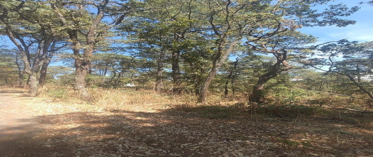 Foto de terreno habitacional en venta en  , tapalpa, tapalpa, jalisco, 0 No. 05