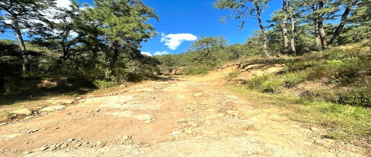 Foto de terreno habitacional en tapalpa whi313530, tapalpa, tapalpa, jalisco, 0 foto 03 Foto de terreno habitacional en venta en tapalpa whi313530, tapalpa, tapalpa, jalisco, 0 No. 03