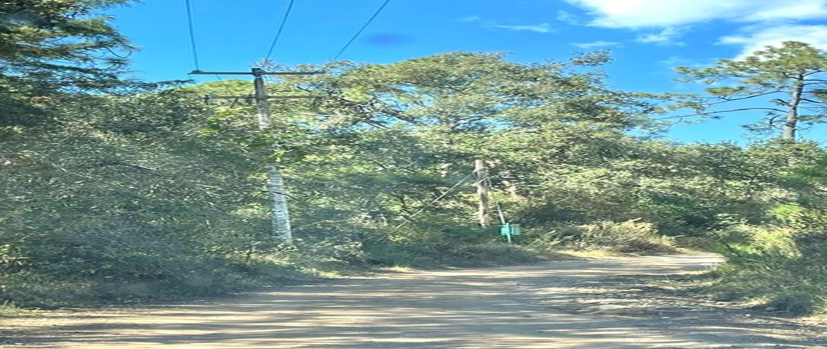 Foto de terreno habitacional en tapalpa whi313530, tapalpa, tapalpa, jalisco, 0 foto 04 Foto de terreno habitacional en venta en tapalpa whi313530, tapalpa, tapalpa, jalisco, 0 No. 04