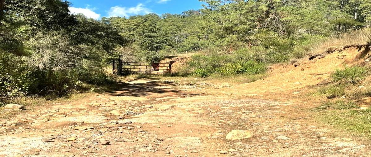 Foto de terreno habitacional en tapalpa whi313530, tapalpa, tapalpa, jalisco, 0 foto 05 Foto de terreno habitacional en venta en tapalpa whi313530, tapalpa, tapalpa, jalisco, 0 No. 05