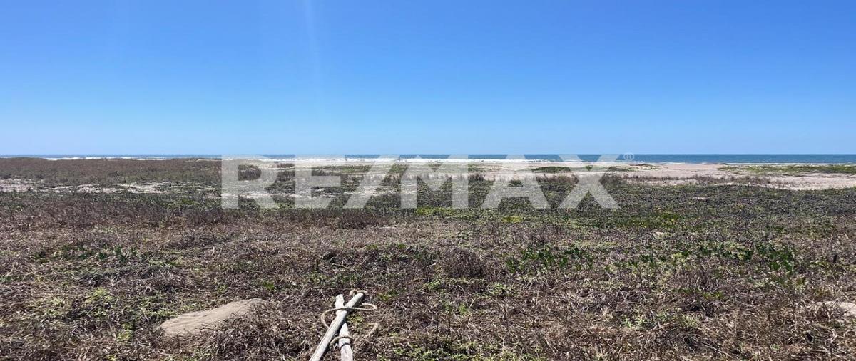 Foto de terreno comercial en teacapan , palmito del verde, escuinapa, sinaloa, 30531096 foto 03 Foto de terreno comercial en venta en teacapan , palmito del verde, escuinapa, sinaloa, 30531096 No. 03