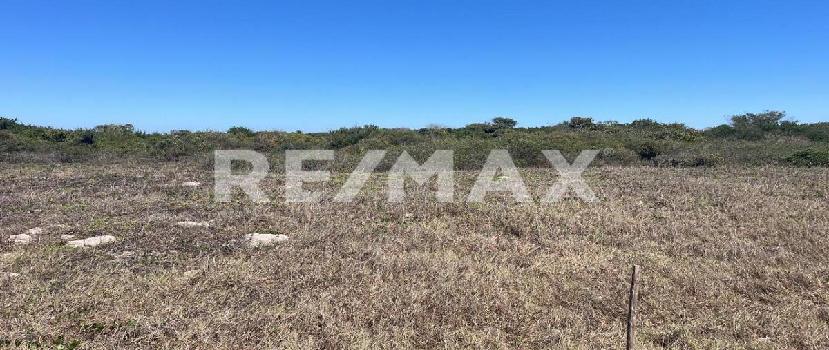 Foto de terreno comercial en teacapan , palmito del verde, escuinapa, sinaloa, 30531096 foto 04 Foto de terreno comercial en venta en teacapan , palmito del verde, escuinapa, sinaloa, 30531096 No. 04