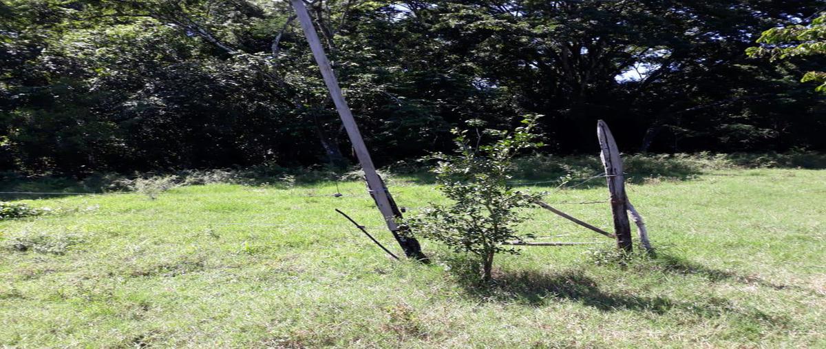 Foto de terreno habitacional en venta en  , teapa centro, teapa, tabasco, 24812955 No. 03