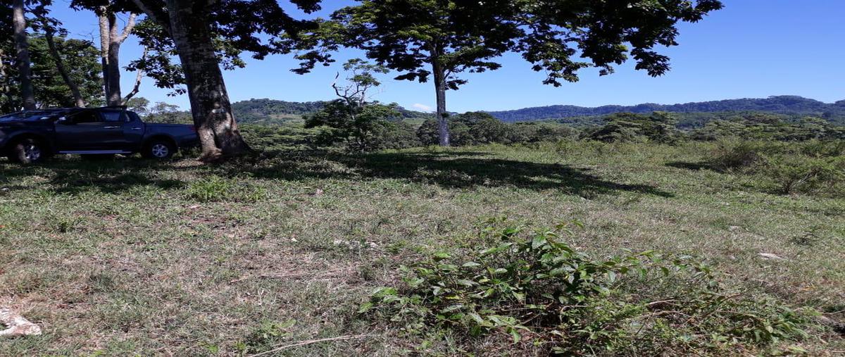 Foto de terreno habitacional en venta en  , teapa centro, teapa, tabasco, 0 No. 04