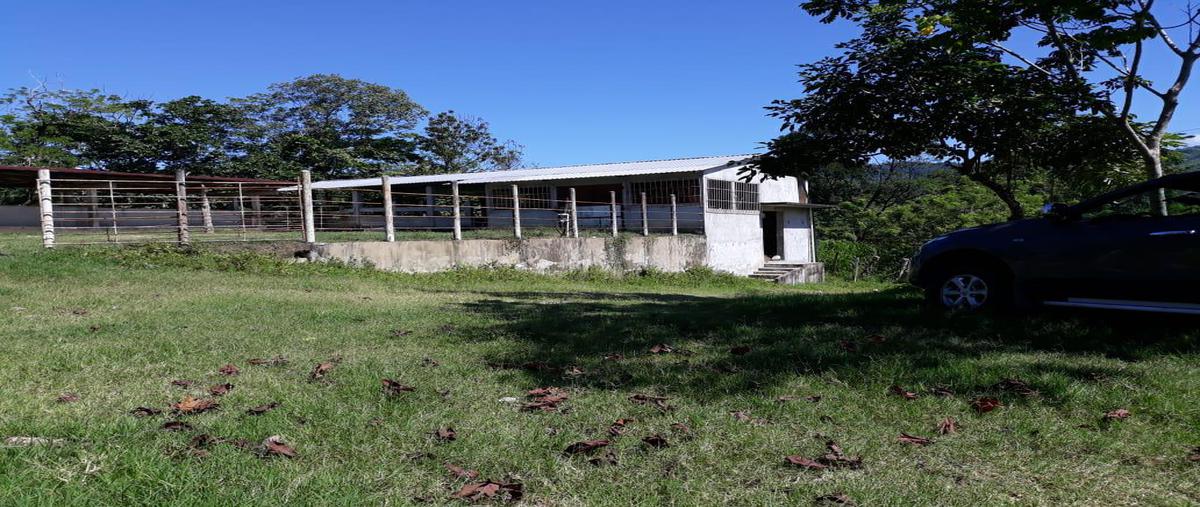 Foto de terreno habitacional en venta en  , teapa centro, teapa, tabasco, 0 No. 05