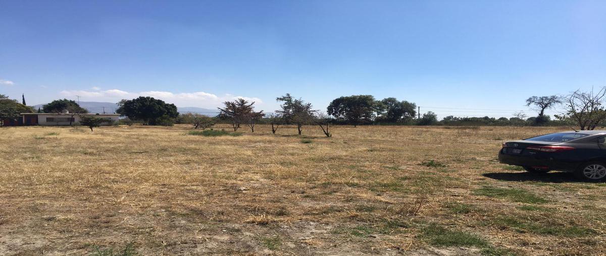 Foto de terreno habitacional en venta en  , tecamachalco centro, tecamachalco, puebla, 0 No. 05