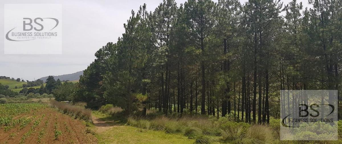 Foto de terreno habitacional en , tecamicalli, tenango del valle, méxico, 0 foto 04 Foto de terreno habitacional en venta en , tecamicalli, tenango del valle, méxico, 0 No. 04