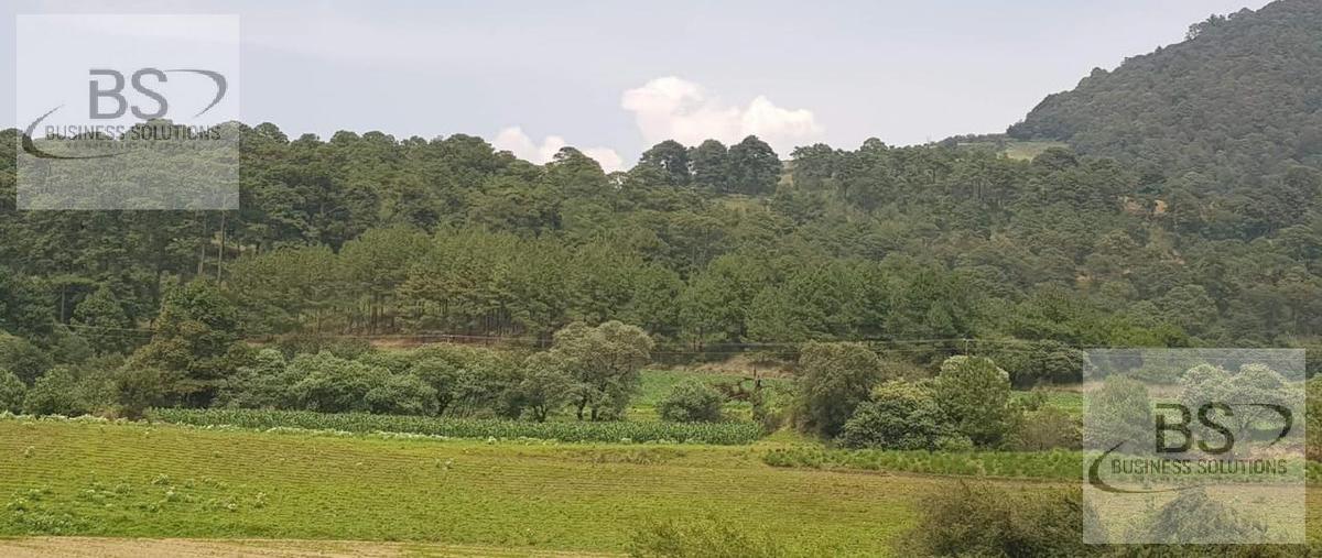 Foto de terreno habitacional en , tecamicalli, tenango del valle, méxico, 0 foto 05 Foto de terreno habitacional en venta en , tecamicalli, tenango del valle, méxico, 0 No. 05