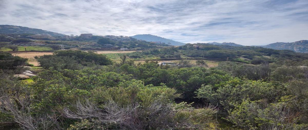 Foto de terreno habitacional en venta en  , tecate, tecate, baja california, 27776923 No. 03