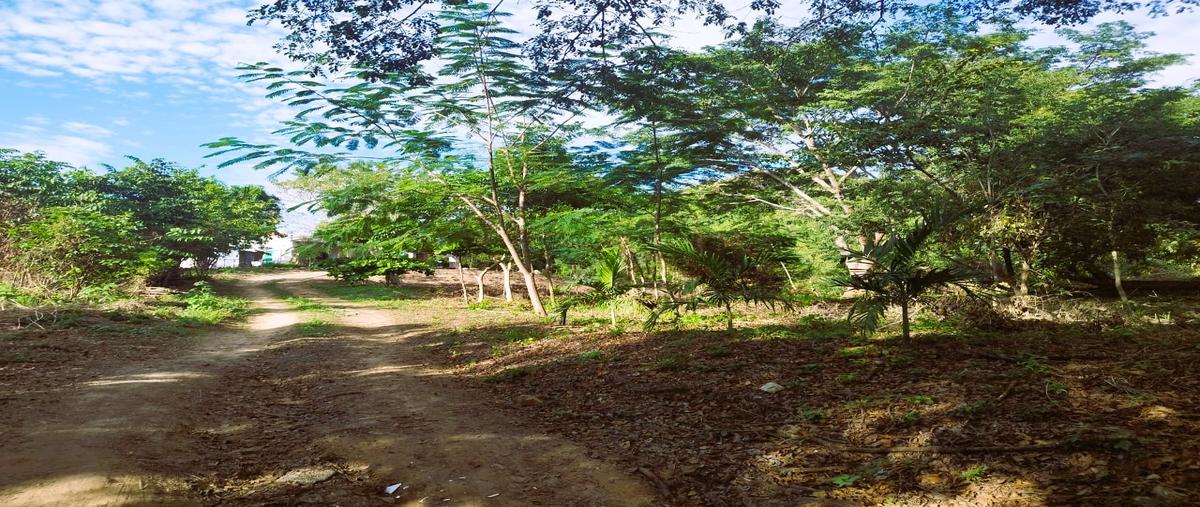 Foto de terreno habitacional en venta en  , techal blanco, santa maría huatulco, oaxaca, 0 No. 03