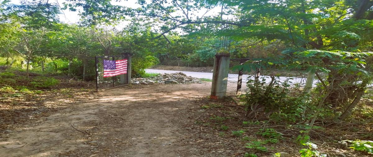 Foto de terreno habitacional en venta en  , techal blanco, santa maría huatulco, oaxaca, 0 No. 04