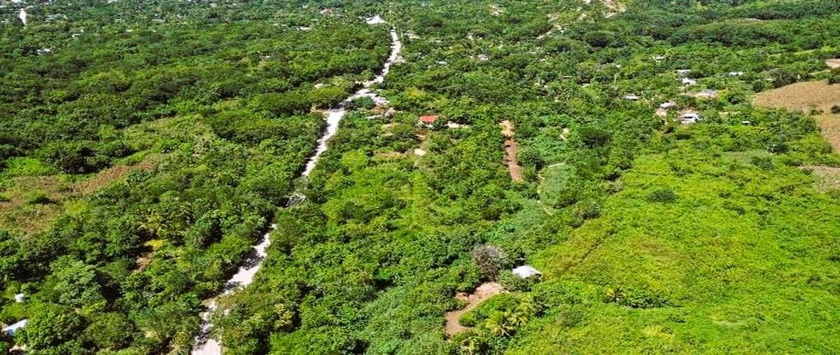 Foto de terreno habitacional en venta en  , techal blanco, santa maría huatulco, oaxaca, 0 No. 05