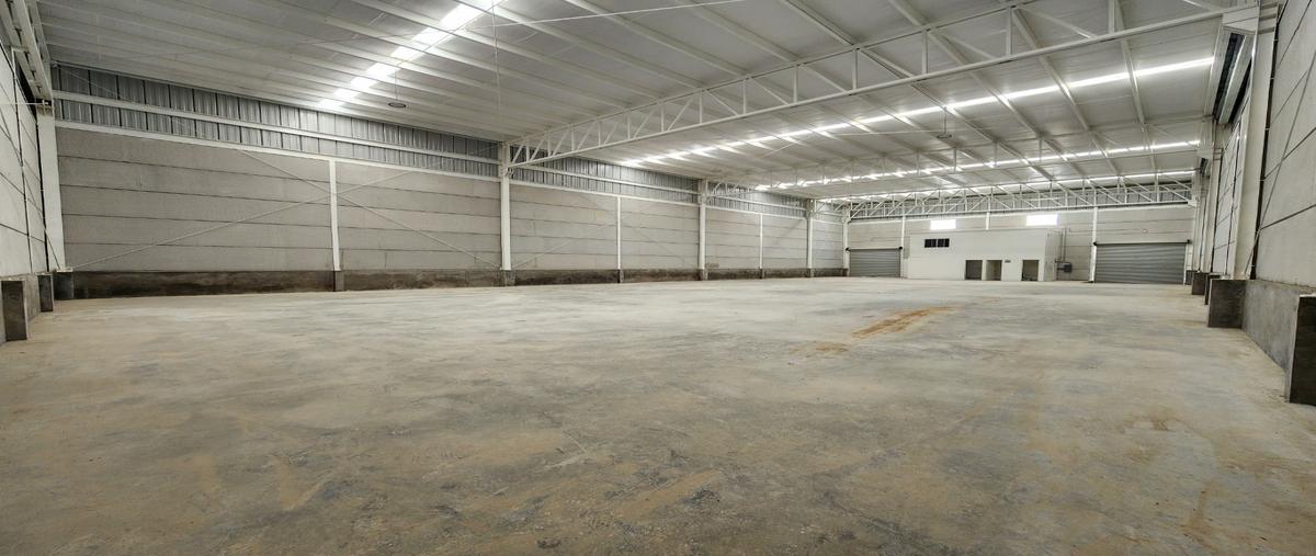 Foto de bodega en renta en  , technology park, apodaca, nuevo león, 31809358 No. 05