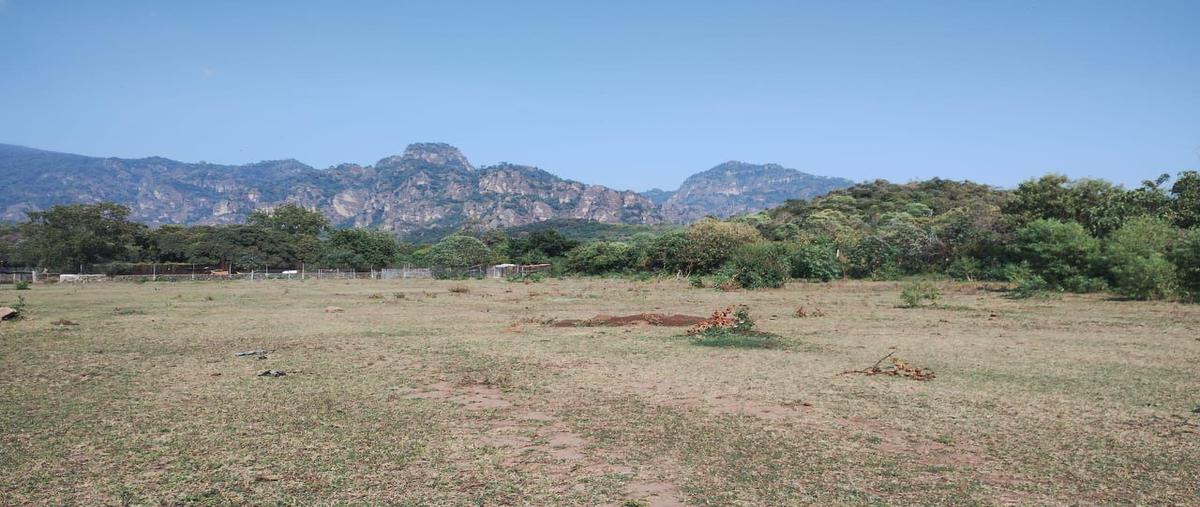 Foto de terreno habitacional en venta en  , tecmilco, tepoztlán, morelos, 0 No. 03