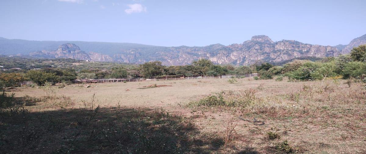 Foto de terreno habitacional en venta en  , tecmilco, tepoztlán, morelos, 0 No. 04
