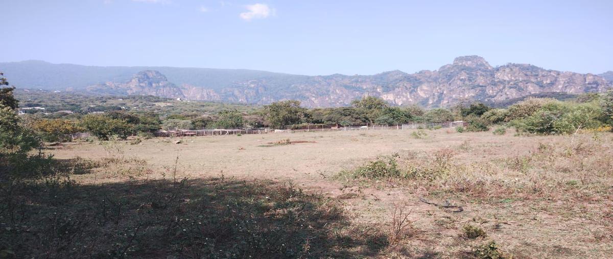 Foto de terreno habitacional en venta en  , tecmilco, tepoztlán, morelos, 0 No. 05