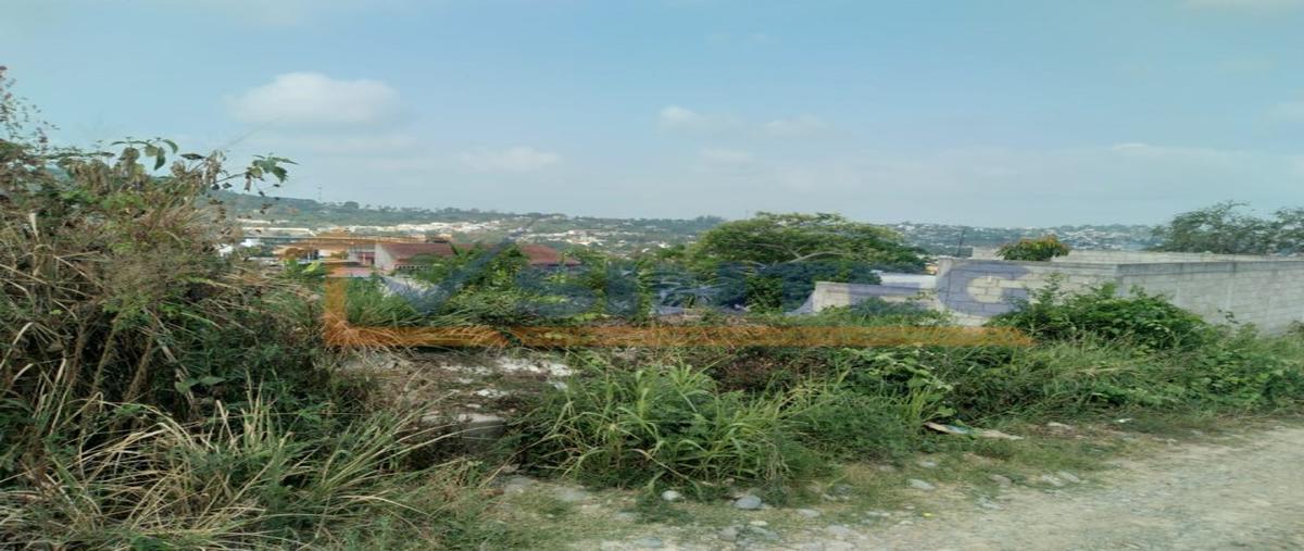 Foto de terreno habitacional en , técnicos y profesionistas, poza rica de hidalgo, veracruz de ignacio de la llave, 26310283 foto 03 Foto de terreno habitacional en venta en , técnicos y profesionistas, poza rica de hidalgo, veracruz de ignacio de la llave, 26310283 No. 03