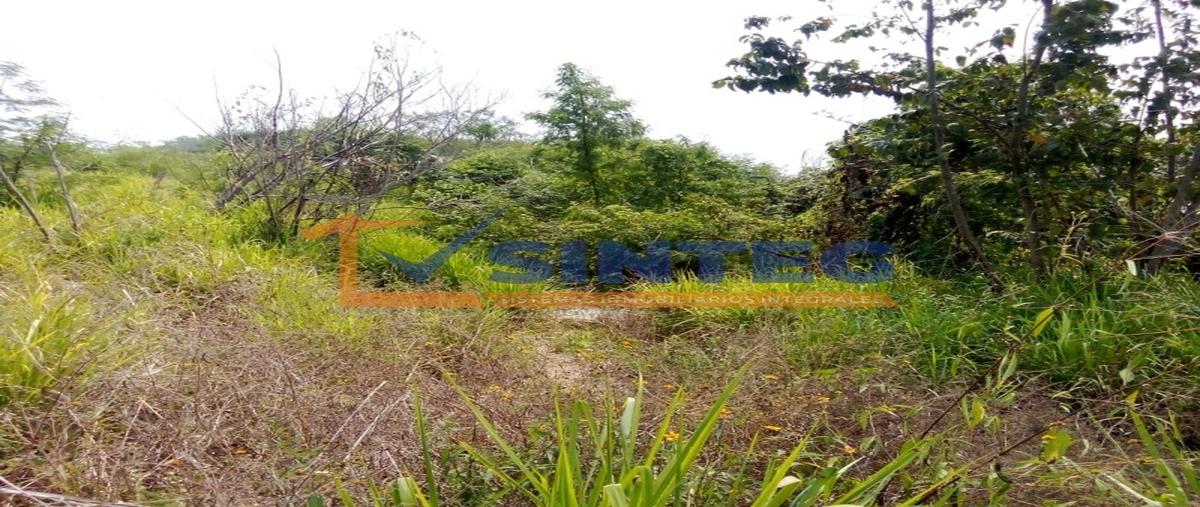Foto de terreno habitacional en , técnicos y profesionistas, poza rica de hidalgo, veracruz de ignacio de la llave, 29526137 foto 02 Foto de terreno habitacional en venta en , técnicos y profesionistas, poza rica de hidalgo, veracruz de ignacio de la llave, 29526137 No. 02
