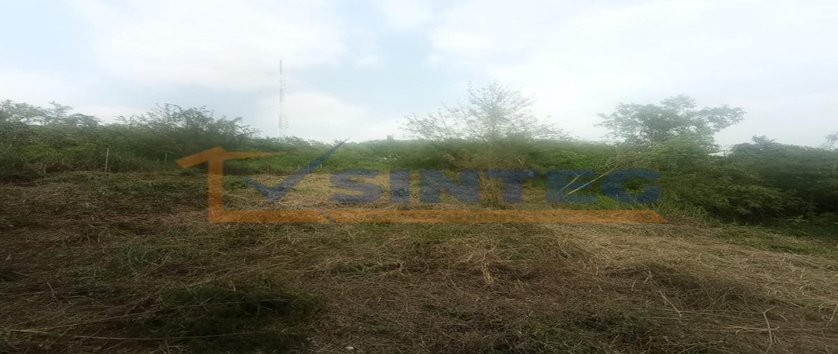 Foto de terreno habitacional en venta en  , técnicos y profesionistas, poza rica de hidalgo, veracruz de ignacio de la llave, 29526137 No. 03