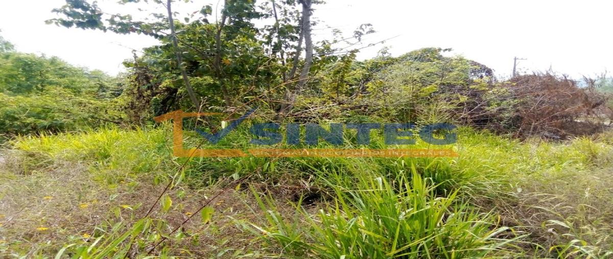 Foto de terreno habitacional en , técnicos y profesionistas, poza rica de hidalgo, veracruz de ignacio de la llave, 29526137 foto 04 Foto de terreno habitacional en venta en , técnicos y profesionistas, poza rica de hidalgo, veracruz de ignacio de la llave, 29526137 No. 04