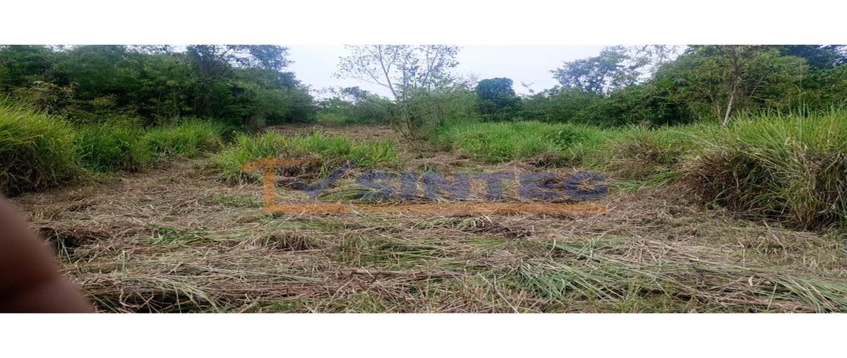 Foto de terreno habitacional en venta en  , técnicos y profesionistas, poza rica de hidalgo, veracruz de ignacio de la llave, 29526137 No. 05