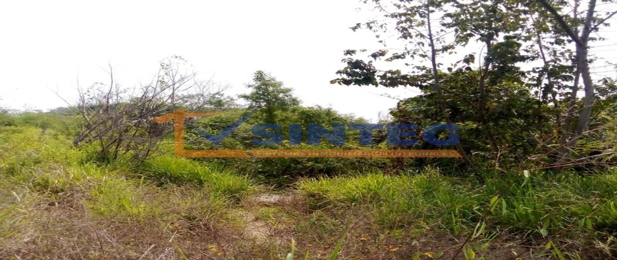 Foto de terreno habitacional en , técnicos y profesionistas, poza rica de hidalgo, veracruz de ignacio de la llave, 29526137 foto 05 Foto de terreno habitacional en venta en , técnicos y profesionistas, poza rica de hidalgo, veracruz de ignacio de la llave, 29526137 No. 05