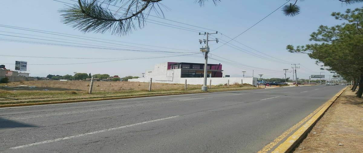 Foto de terreno comercial en renta en tecnológico , llano grande, metepec, méxico, 27053688 No. 05