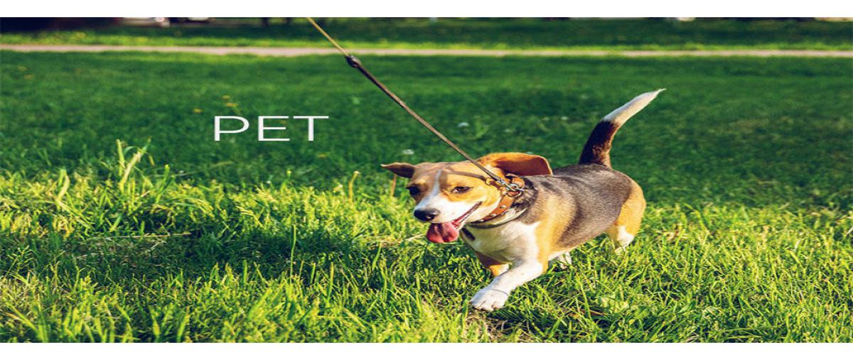 Foto de terreno habitacional en venta en  , tecnomex, tijuana, baja california, 0 No. 03