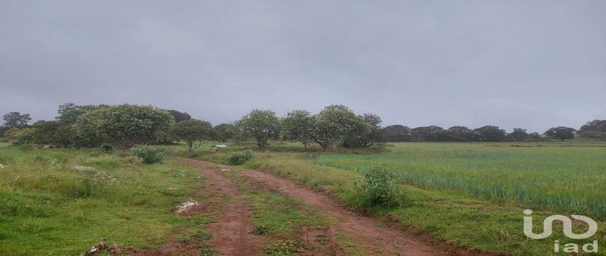 Foto de terreno comercial en venta en tecocomulco , tecocomulco de juárez, cuautepec de hinojosa, hidalgo, 0 No. 03