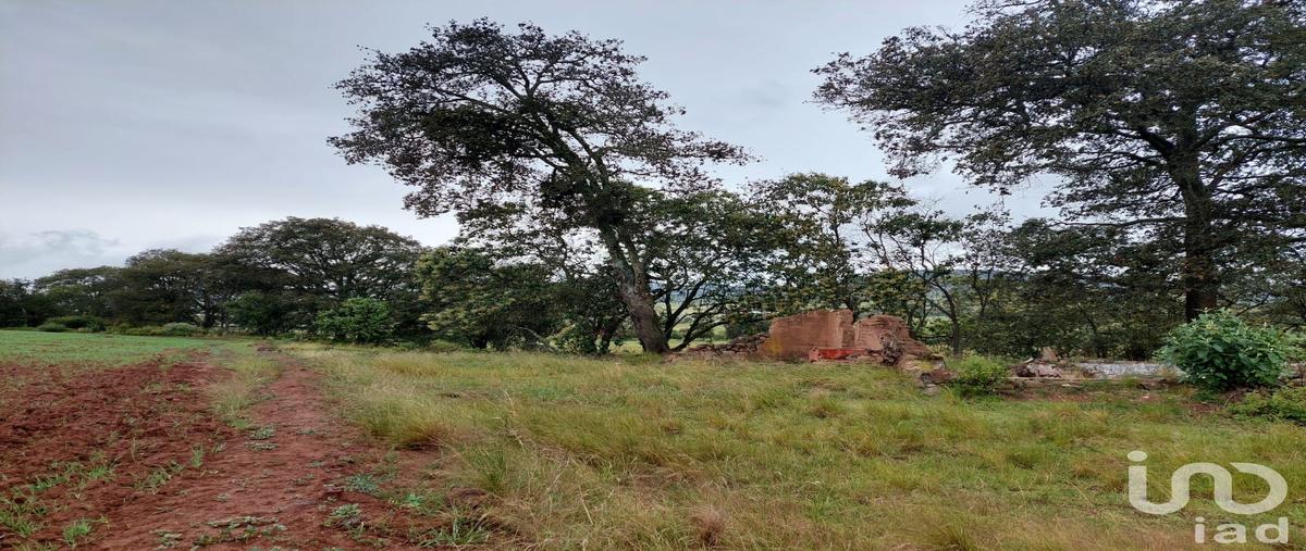 Foto de terreno comercial en venta en tecocomulco , tecocomulco de juárez, cuautepec de hinojosa, hidalgo, 0 No. 05
