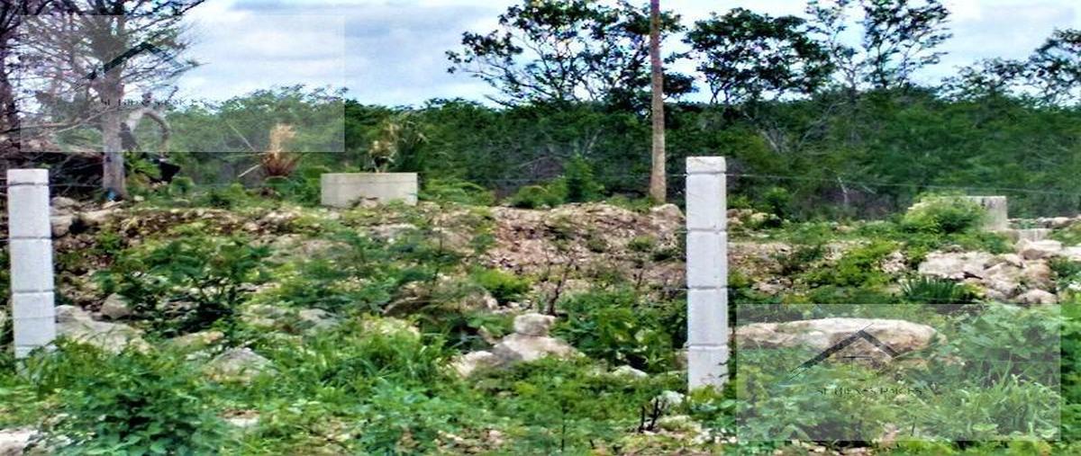 Foto de terreno habitacional en , tecoh, tecoh, yucatán, 0 foto 03 Foto de terreno habitacional en venta en , tecoh, tecoh, yucatán, 0 No. 03