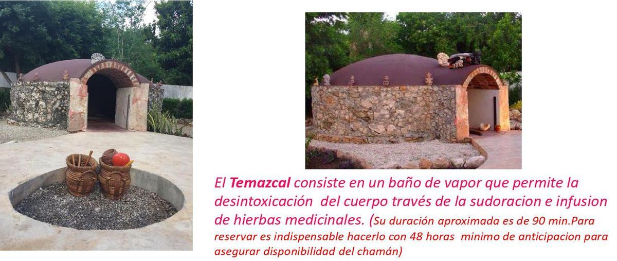 Foto de edificio en venta en tecoh whi281288, tecoh, tecoh, yucatán, 25165447 No. 04