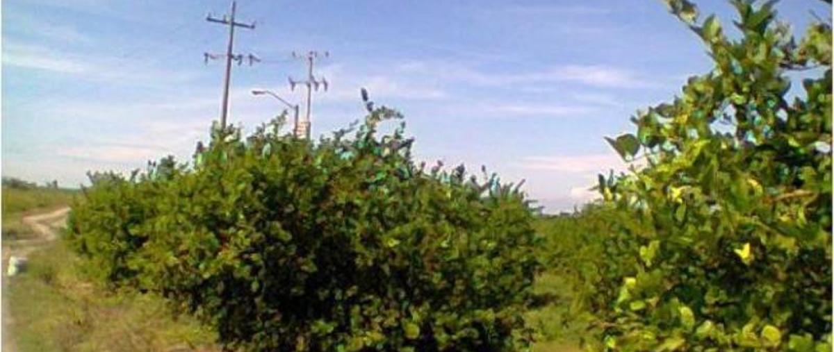Foto de terreno comercial en venta en  , jardines de tecomán, tecomán, colima, 8623210 No. 02
