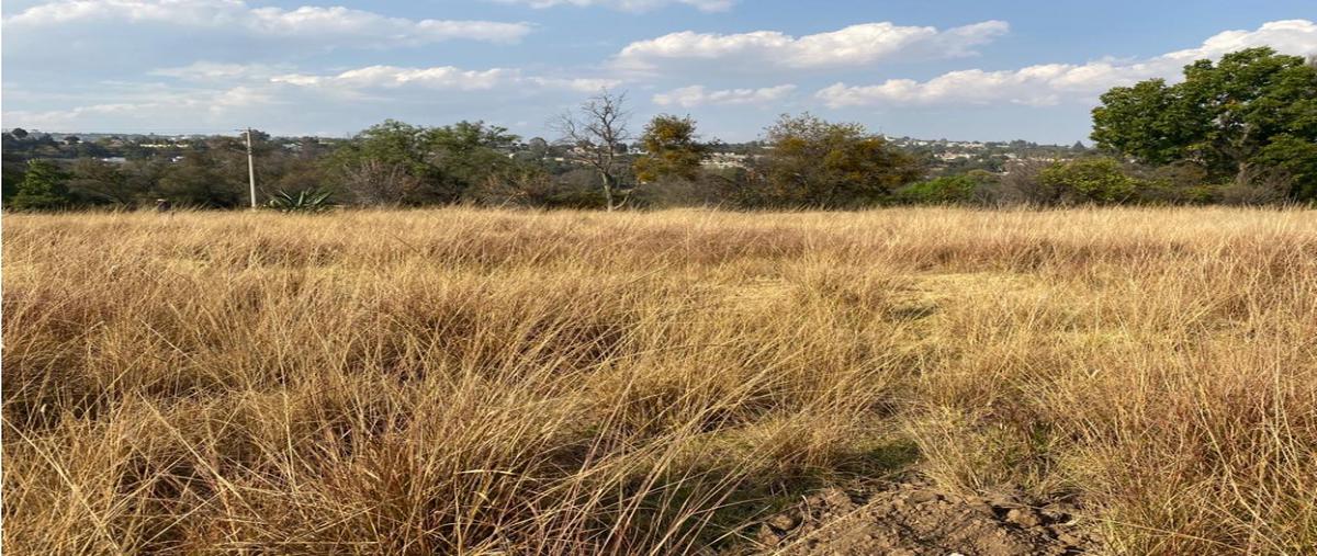 Foto de terreno habitacional en venta en  , tecolotla, apetatitlán de antonio carvajal, tlaxcala, 25950278 No. 04
